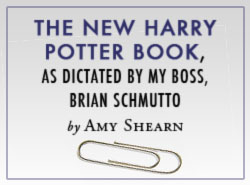 The New Harry Potter Book, as Dictated by My Boss, Brian Schmutto