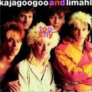 kajagoogooalbumcover.jpg