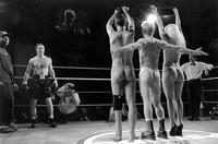 The Herring Wonder v. Naked Butts